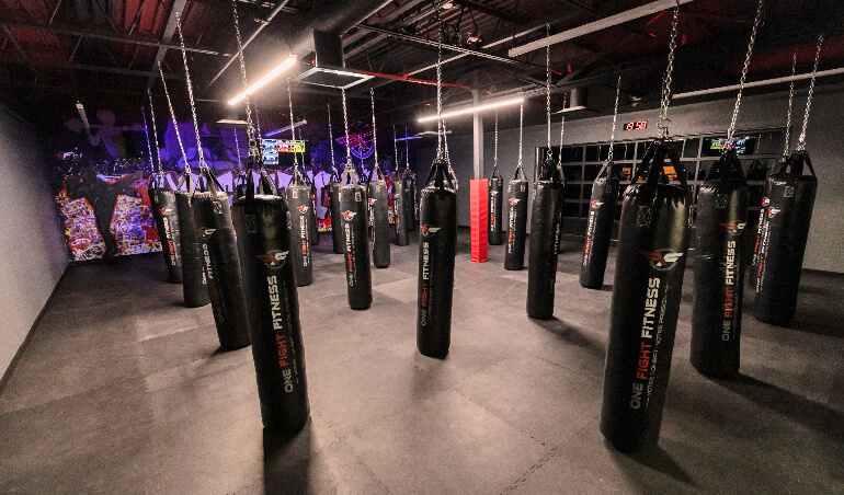 One Fight Fitness