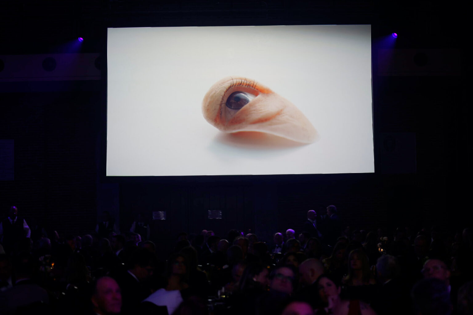 Le Bal de la Fondation du CHU de Québec fracasse un record - Fondation ...